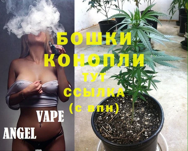 сатива Вязьма
