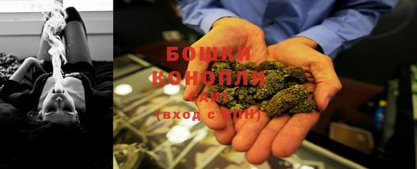 ГАЛЛЮЦИНОГЕННЫЕ ГРИБЫ Вяземский
