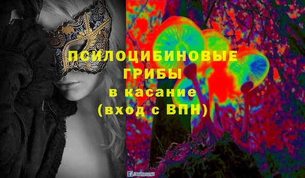 прущая мука Вязники