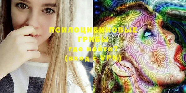 бошки Горняк