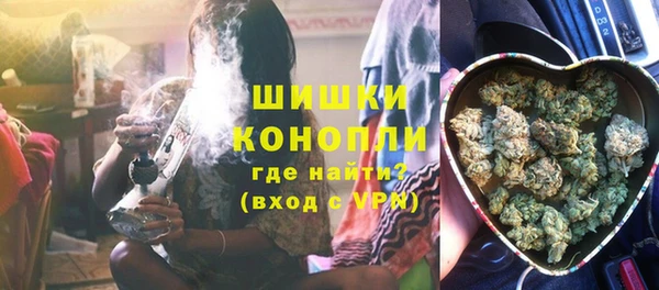 сатива Вязьма