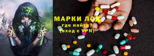 сатива Вязьма