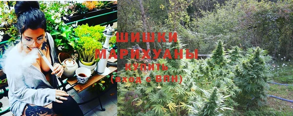 сатива Вязьма