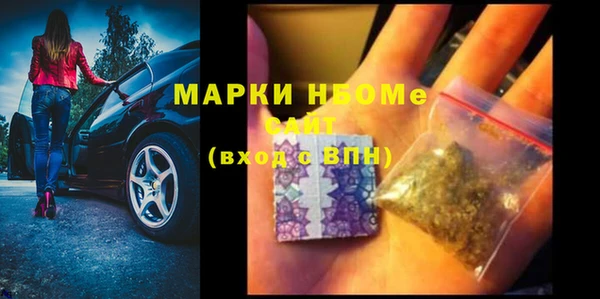 ГАЛЛЮЦИНОГЕННЫЕ ГРИБЫ Вяземский