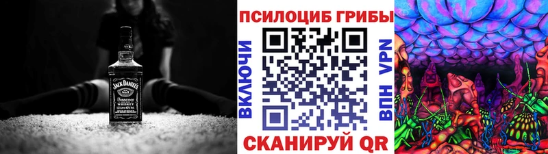 Псилоцибиновые грибы Psilocybe  Купить закладки  Качканар 